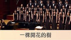 一棵開花的樹 A Tree In Blossom（席慕蓉詩／劉新誠曲）- National Taiwan University Chorus