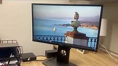 Dell Professional P2317H 23' Screen LED Lit Monitor Review, Great Display Quality And Durable Too!