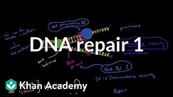 DNA repair 1 | Biomolecules | MCAT | Khan Academy