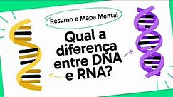 DNA E RNA | QUER QUE DESENHE | MAPA MENTAL