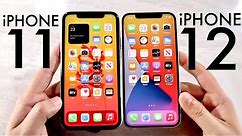 iPhone 12 Vs iPhone 11! (Comparison) (Review)