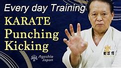 5 min Karate Training | Punching and Kicking | Ageshio Japan
