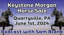 Podcast for the Keystone Morgan Horse Sale