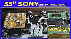 How to fix blank screen on SONY BRAVIA 55" UHD TV?