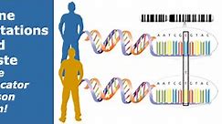 Genetic Mutation and Taste Lesson Plan | Science Buddies Blog