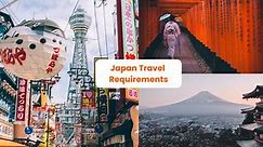 Japan Travel Requirements: How to do Japan Web Application & Other Tips to Enjoy Japan Visa-Free! - Klook Travel Blog