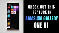 Samsung One UI - Enable album panel on Samsung Gallery app !