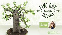 Live Oak Tree Cake Tutorial