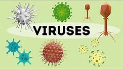 What is a virus?- An Introduction