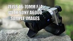 Zeiss 16-70mm f/4 Lens on the Sony A6000 (Sample Images)