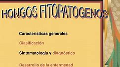 PPT - HONGOS FITOPATOGENOS PowerPoint Presentation, free download - ID:2977936