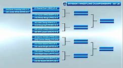 157 lbs. Bracket Preview