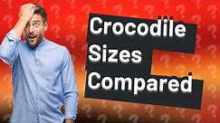 Are Nile crocodiles bigger than Australian?