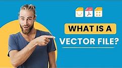 What is a Vector File?