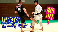 How to use Ancient Karate Kata for the low kick（with various language subtitles）