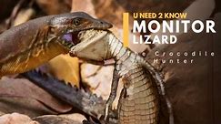 Why does the Monitor Lizard only Eat Crocodile Babies ? Part #1