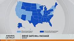 Michigan lawmakers pushing for driver's licenses for all