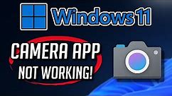 Windows Camera app Not Working or Not Opening on Windows 11 / 10