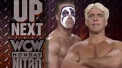 Sting vs Ric Flair:WCW World Heavyweight Championship