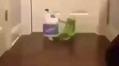 Kermit Bleach Meme