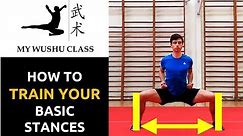 Wushu Basic Stances Tutorial - Jibengong