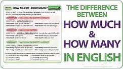 How much? How many? - English Grammar Lesson