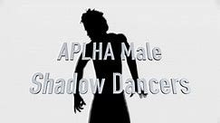 ALPHA Male HD Dancers