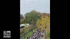 Pro-Palestinian Harvard students stage protest and die-in on campus against Israels genocide in Gaza