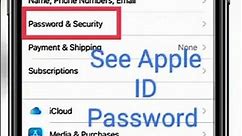 how to check Apple ID password/ how to see Apple ID password/ how to show apple id password