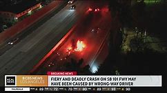 Wrong-way driver killed on southbound 101 Freeway