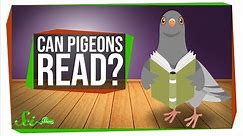 Can Pigeons Really Read