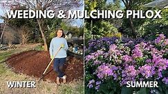 Weeding & Mulching a perennial garden