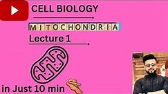 CELL BIOLOGY [ LECTURE - 1 ] MITOCHONDRIA
