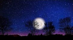Moonrise & Sky Stars Falling Animation in Night Time-Beautiful Video Background HD