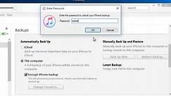 How to Recover Forgotten iTunes Backup Password in Minutes