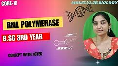 RNA Polymerase B.Sc 3rd Year||RNA Polymerase and transcription unit bsc 3rd year||#rnapolymerase