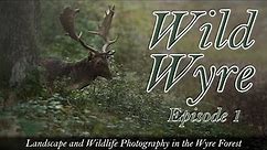 Wild Wyre Ep. 01 - Waterfalls and Deer in the Wyre Forest // Landscape and Wildlife Photography Vlog