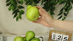 D-Seven artificial fruit faux pears