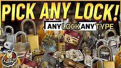 Pick EVERY Type of Lock!