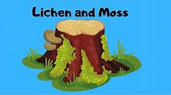 Why Lichen and Moss are Amazing