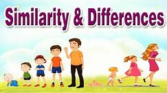 Similarity and Differences | Educational Videos For Kids