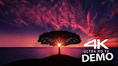 4K VIDEO UltraHD HDR Sony 4K VIDEOS Demo