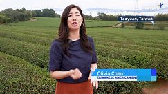California Entrepreneur Finds Her Roots in Taiwan Tea - TaiwanPlus News
