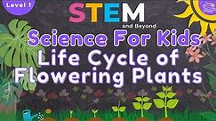 Life Cycle of Flowering Plants | Science For Kids | STEM Home Learning