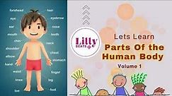 Fun Learning: Parts of the Human Body for Kids | Video | Easy Learning | Baby video | English