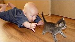 Smiješne Mačke I Bebe Igraju Zajedno - Slatka Mačka