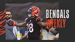 Week 11 at Pittsburgh Steelers | Bengals Weekly