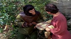 Planet of the Apes E09 HD -The Horse Race(1974 TV series)english subtitles