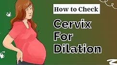 How to Check Your Cervix for Dilation (4 Easy Steps)