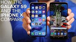 Galaxy S9 vs. iPhone X